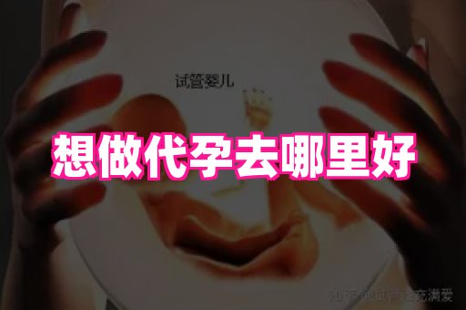 821孕网 2